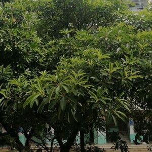 Meet your Posher, Jake